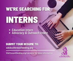 2023 Interns Hiring Job Post
