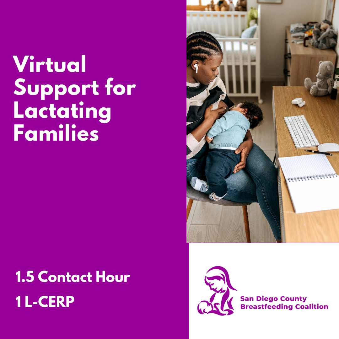 Virtual Support For Lactating Familes (1)