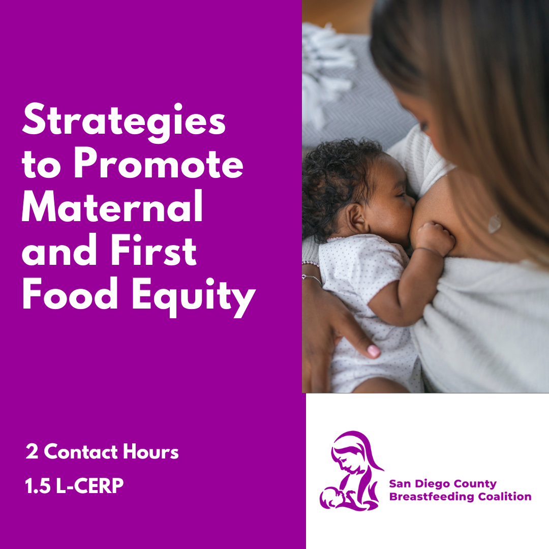 Strategies to Promote Maternal and First Food Equity (3)